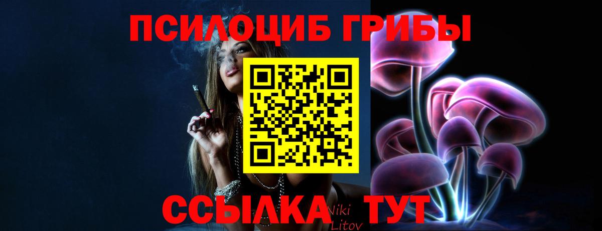Кирово-Чепецк  Псилоцибиновые грибы Psilocybe  Галлюциногенные грибы Psilocybe  Вход с VPN 